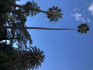thumbnail: Point of interest