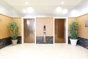 thumbnail: Reception