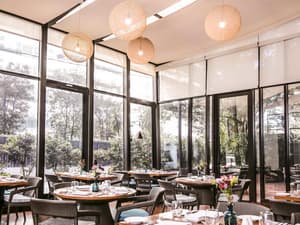 thumbnail: Restaurant