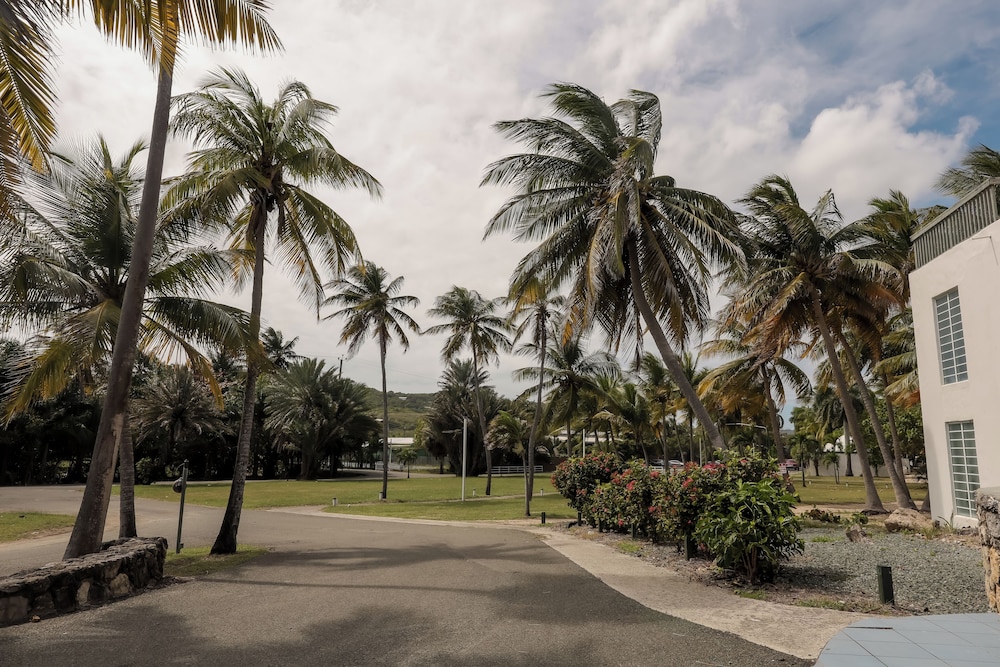 Land view from property