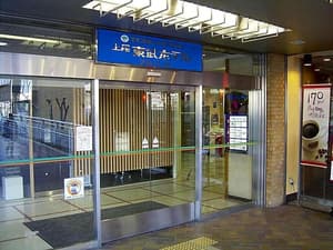 thumbnail: General view