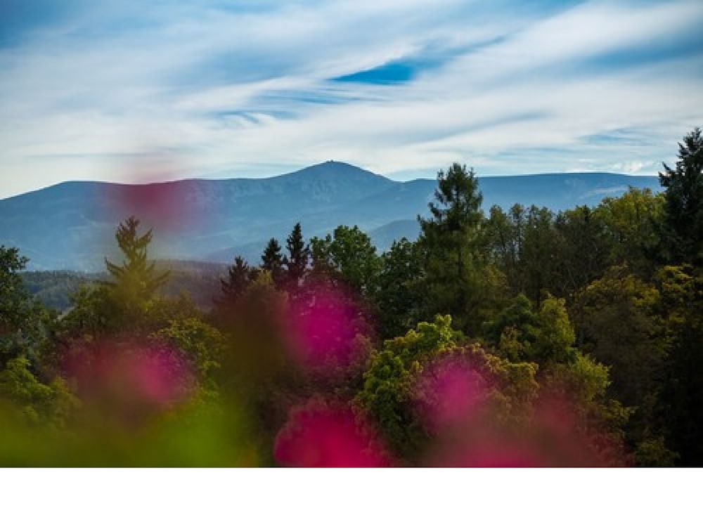 Mountain view
