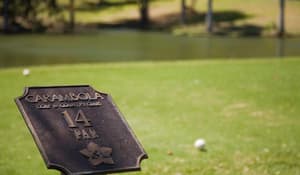 thumbnail: Sports and Entertainment