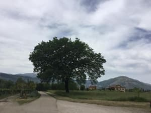 thumbnail: 143240670.jpg
