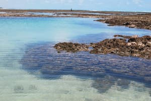 thumbnail: Beach
