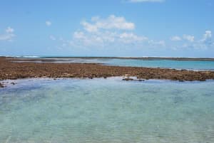 thumbnail: Beach