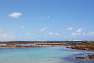 thumbnail: Beach