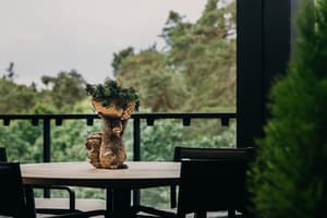 thumbnail: Balcony view