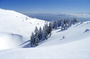 thumbnail: Skiing