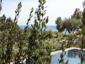 thumbnail: Terrace/patio