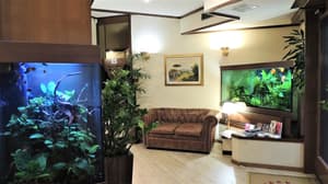 thumbnail: Interior entrance