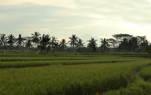 thumbnail: Ecotours