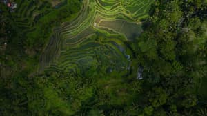 thumbnail: Miscellaneous