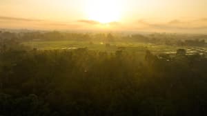thumbnail: Miscellaneous