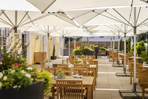 thumbnail: Terrace/patio