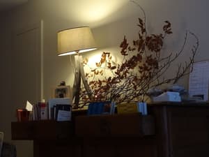 thumbnail: Interior detail