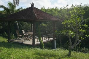 thumbnail: Land view from property