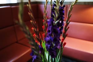 thumbnail: Interior