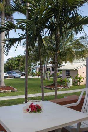 thumbnail: Terrace/patio