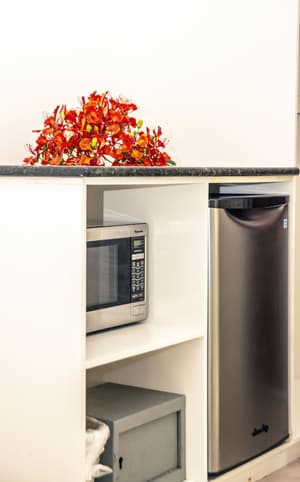 thumbnail: Mini-refrigerator