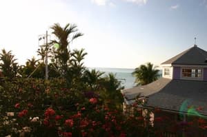 thumbnail: View from property