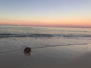 thumbnail: Beach