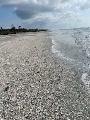 thumbnail: Beach