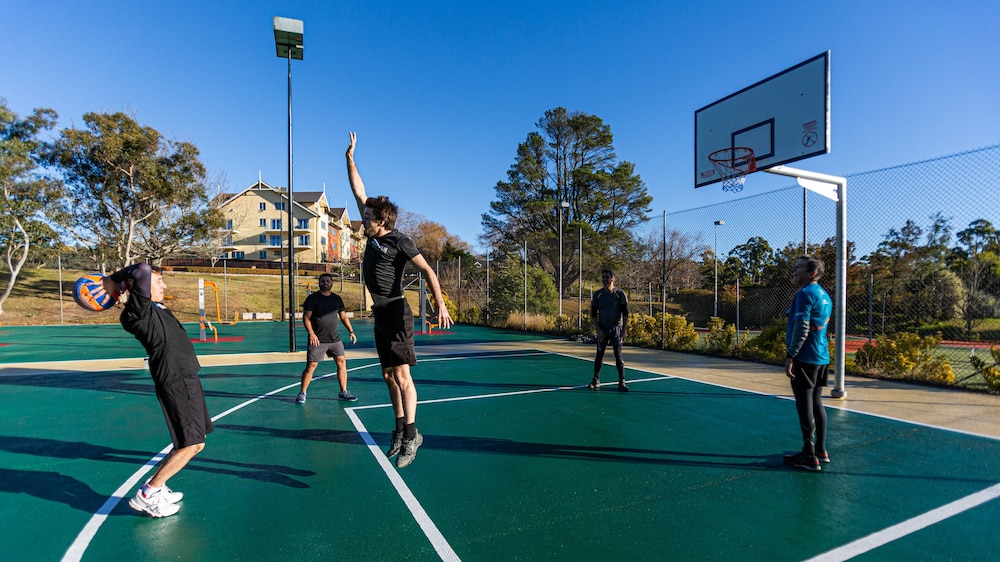 Basketball court