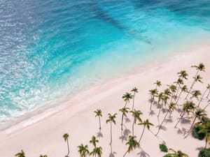 thumbnail: Aerial view