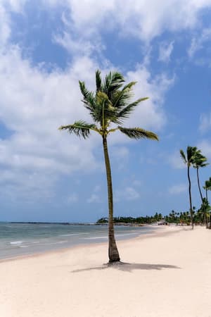 thumbnail: Beach