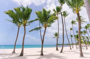 thumbnail: Beach