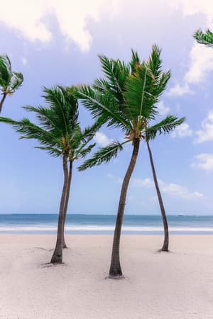 thumbnail: Beach
