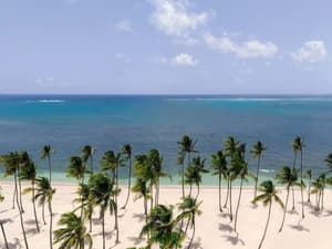 thumbnail: Beach