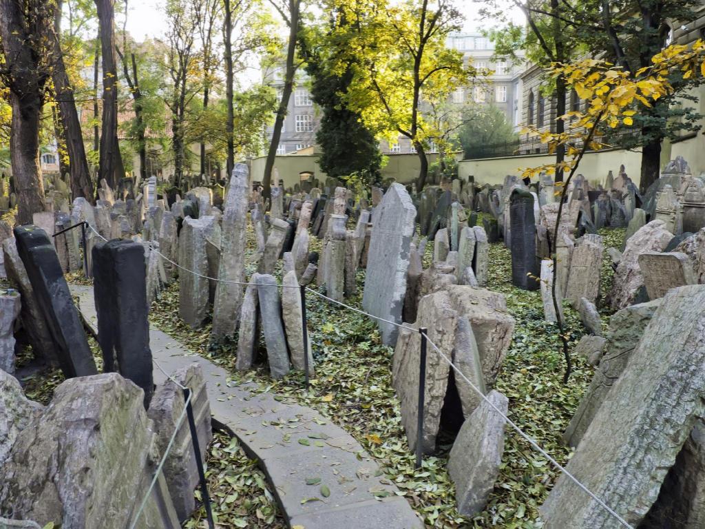 2_104490.jpg
