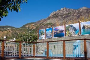 thumbnail: General view