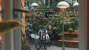 thumbnail: Bicycling