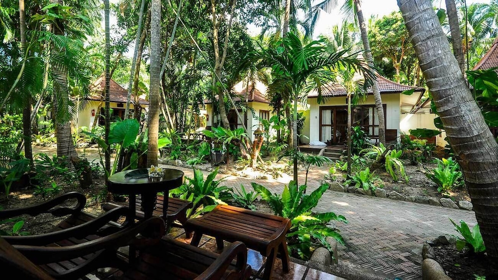 Garden view