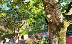 thumbnail: Garden