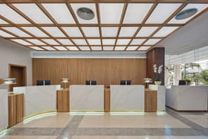 thumbnail: Reception