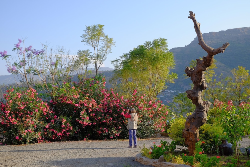 Garden view