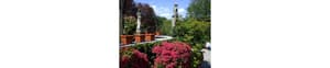 thumbnail: Garden