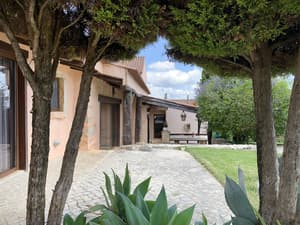 thumbnail: Terrace/patio