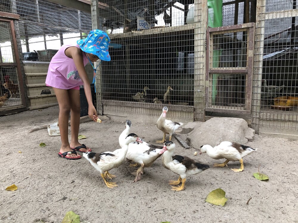 Children's activities