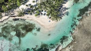 thumbnail: Aerial view