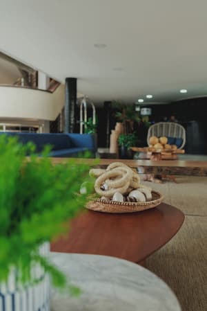 thumbnail: Reception