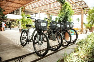 thumbnail: Bicycling