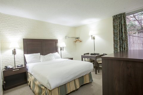 1 Queen Bed Guest Room