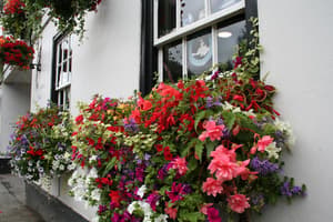 thumbnail: Exterior detail