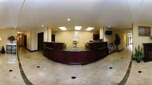 thumbnail: Reception