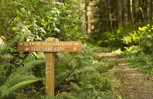 thumbnail: Hiking